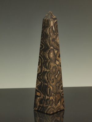 Stromatolite Fossil Obelisk